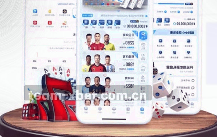 档案册页与编号标签组合的共建与反馈流程示意图
